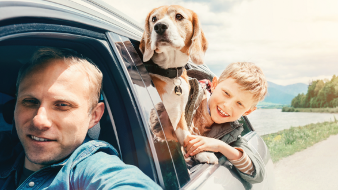 Cтраховая защита